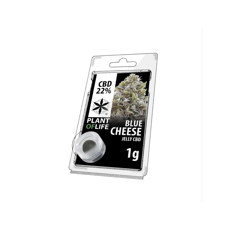 Résine CBD Blue Cheese | PLANT OF LIFE