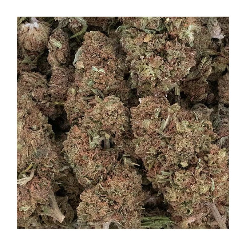 Fleur de CBD - PINK LADY KUSH