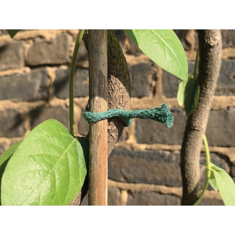 Cbd-Gardens | | Lien Torsadé Jute Vert 5m | 5,90 €