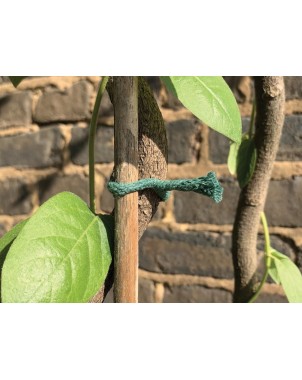 Cbd-Gardens | | Lien Torsadé Jute Vert 5m | 5,90 €