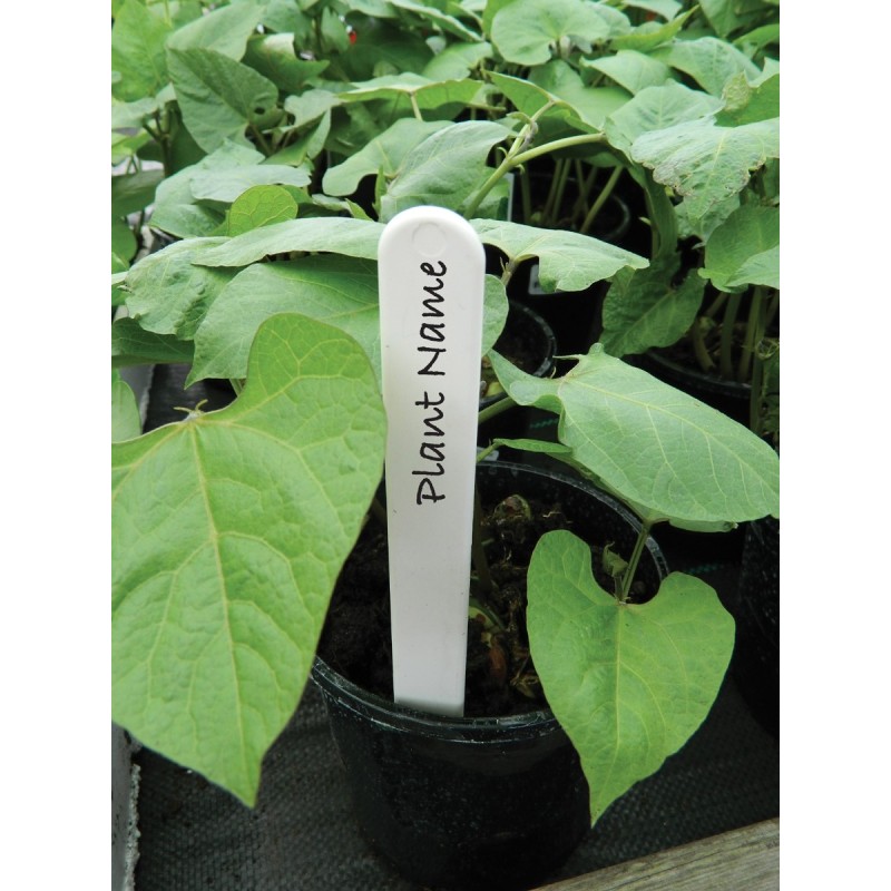 Cbd-Gardens | | Étiquettes Blanches pour Plantes 15cm lot de 50 | 8,90 €