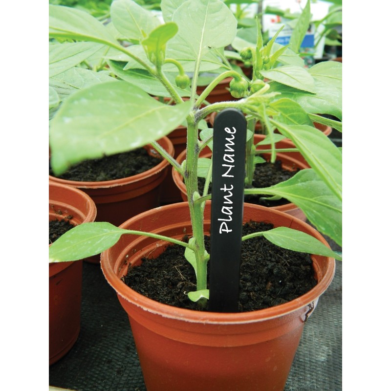 Cbd-Gardens | | Étiquettes pour Plantes Noires 20cm lot de 20 | 5,90 €