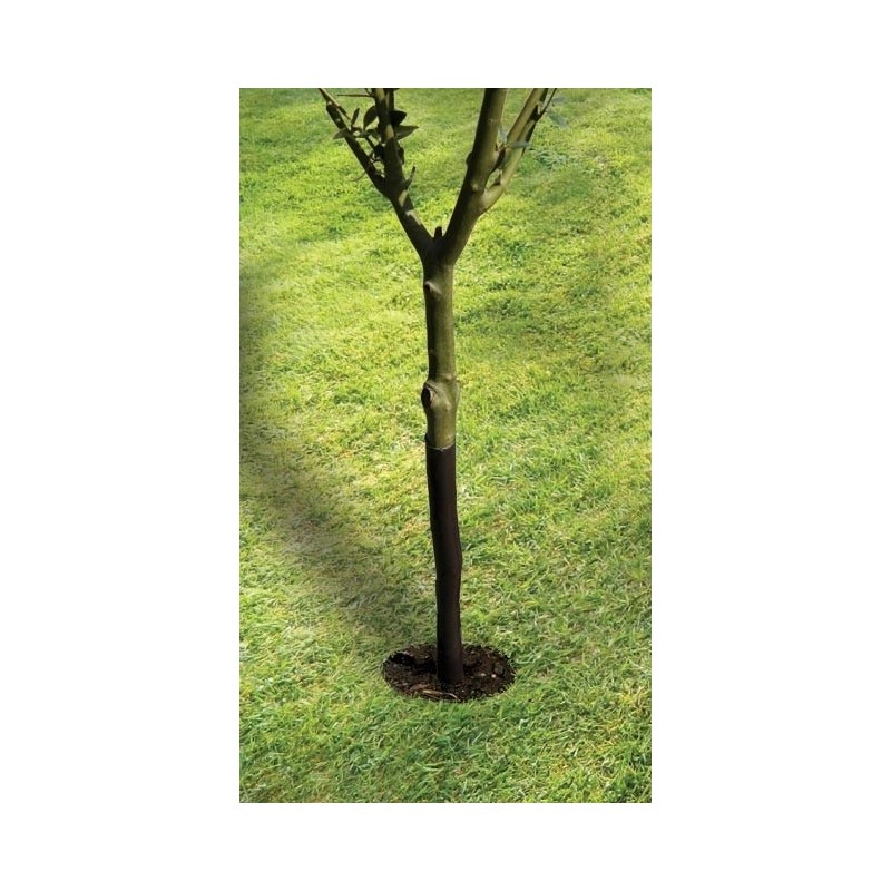 Protège-arbre en spirale 61cm