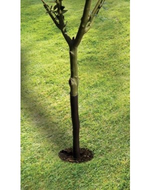 Protège-arbre en spirale 61cm