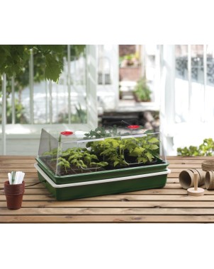 Cbd-Gardens | | Propagateur électrique professionnel à contrôle de température variable | 259,00 €