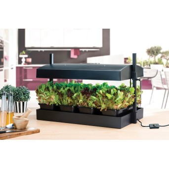 Cbd-Gardens | | Lampe de Culture Grow Light Jardin Noir | 220,00 €