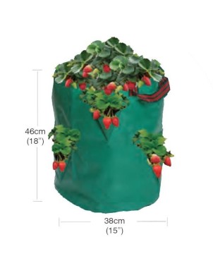 Sac de fraises/herbes