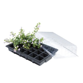 Cbd-Gardens | | Mini serre Propagator | 7,90 €