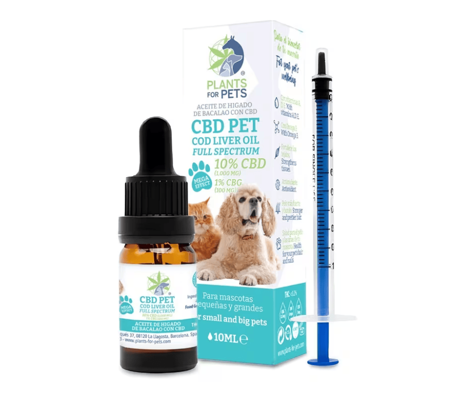 Huile animaux CBD 10% CBG 1% | PLANTS FOR PETS