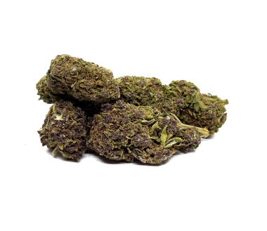 Cbd-Gardens | | Fleur CBD Purple Haze 2.0 Premium Indoor | 6,22 €