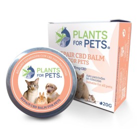 Baume réparateur au CBD 600 mg - Animaux | Plants for Pets